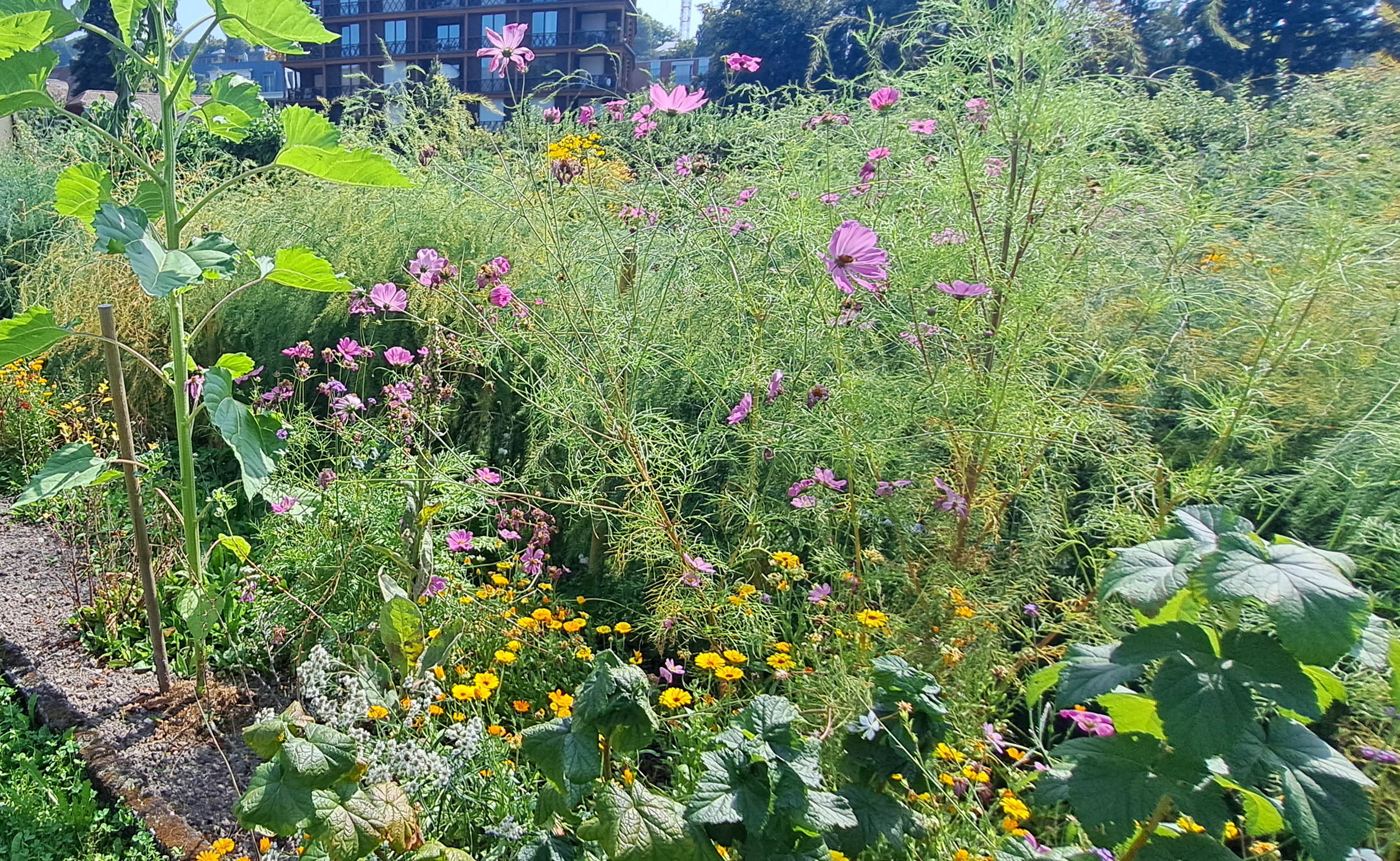 Klostergarten Naturkunde