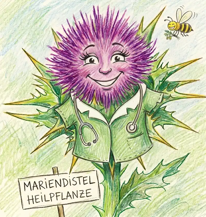 Mariendistel
